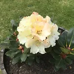 Le Jardin De Rose 24 Feuillebert 86700 3*