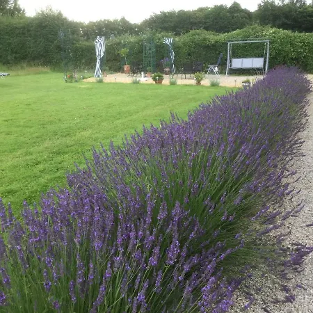 Le Jardin De Rose 24 Feuillebert 86700 Romagne (Vienne)