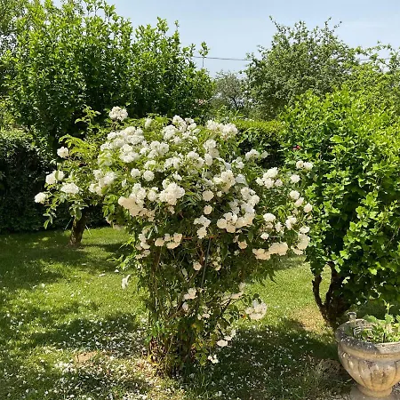 Le Jardin De Rose 24 Feuillebert 86700 Bed & Breakfast 3*
