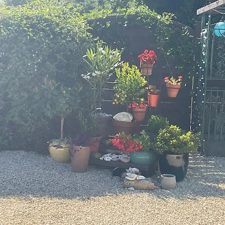 Nocleg ze śniadaniem Le Jardin De Rose 24 Feuillebert 86700 *