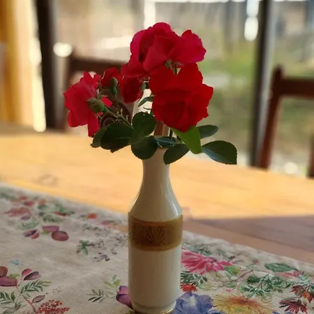 Bed & Breakfast Le Jardin De Rose 24 Feuillebert 86700 Romagne (Vienne)