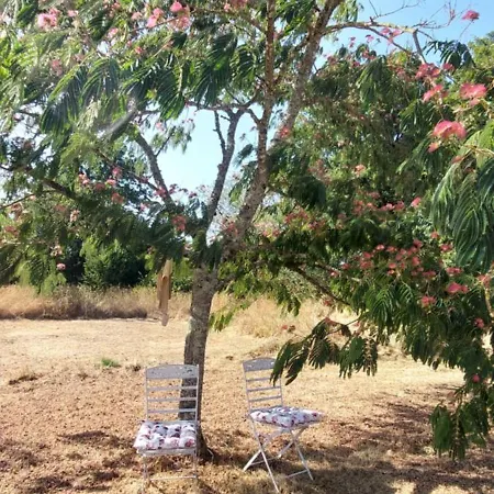 Le Jardin De Rose 24 Feuillebert 86700 Romagne (Vienne)